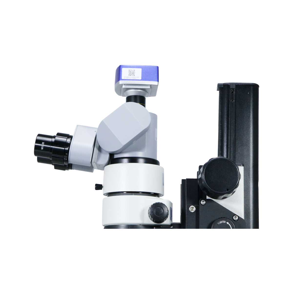 Stereo Microscope